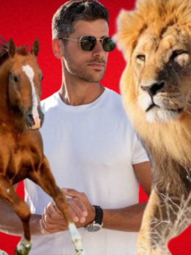 ঘোড়ার এনার্জি-সিংহের তেজ, এই ৪ সিক্রেটেই হবেন মেয়েদের কাঙ্খিত পুরুষ