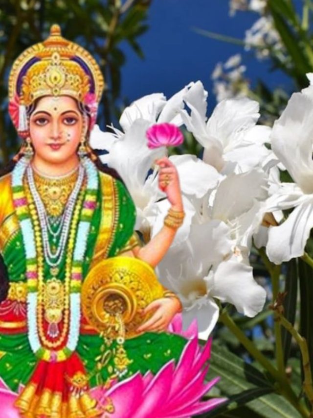 অর্থের বৃষ্টি হবে, বাড়িতে লাগান এই গাছটি