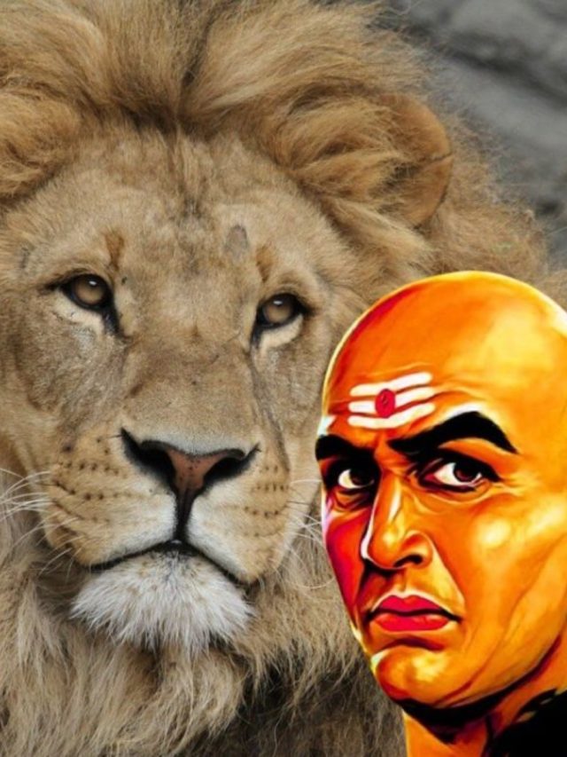 সিংহের এই গুণটি  নিজের জীবনে কাজে লাগান, ভাগ্য বদলে যাবে