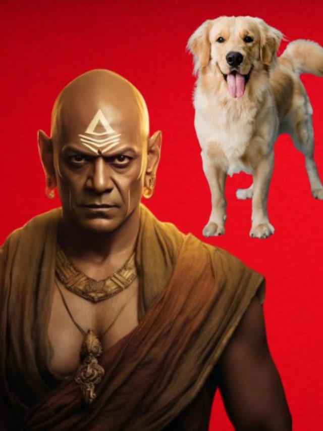 কুকুরের এই ৮ অভ্যাস থাকা উচিত প্রতিটি ব্যক্তির, সুখে কাটাবেন জীবন