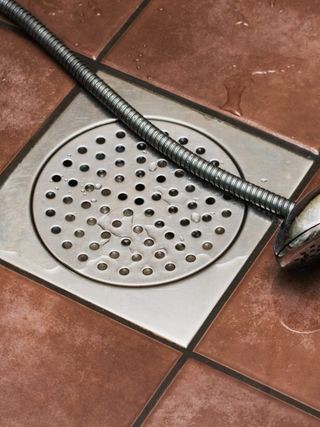 বাথরুমের ড্রেনের জালে জড়িয়ে চুল? এই ২ সাদা জিনিসেই হবে সাফ