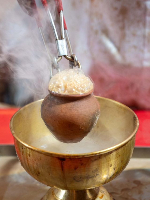 বাড়িতেই হবে সুস্বাদু 'তন্দুরি চা', লাগবে জাস্ট একটা মাটির ভাঁড়; রেসিপি