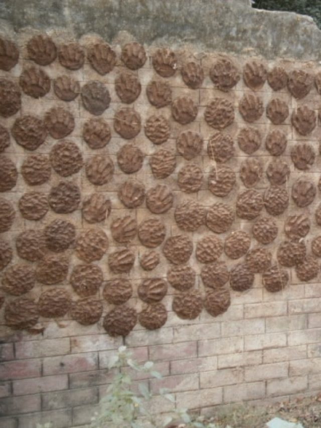 ঘুঁটেকে ইংরেজিতে কী বলে? অনেক শিক্ষিত লোকও জানেন না