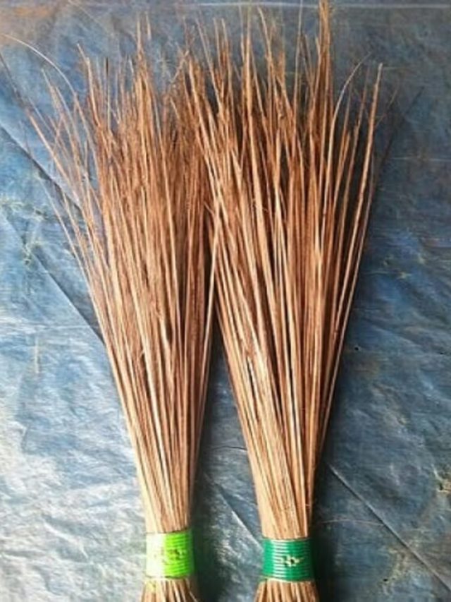 ধনতেরাসের এই সময় কিনুন ঝাঁটা, আসবে শান্তি-সমৃদ্ধি