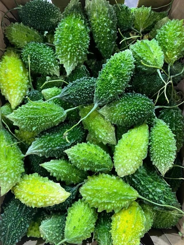 উচ্ছেকে ইংরেজিতে কী বলে জানেন?