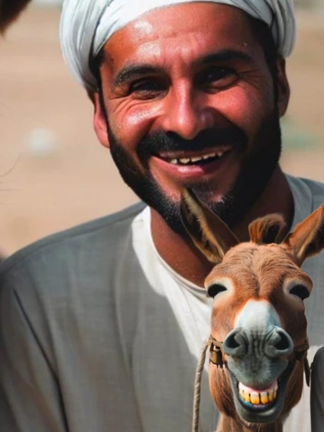 গাধার এই ৫ গুণেই আসবে সাফল্য, জানা থাকলে নিরাশ হবেন না