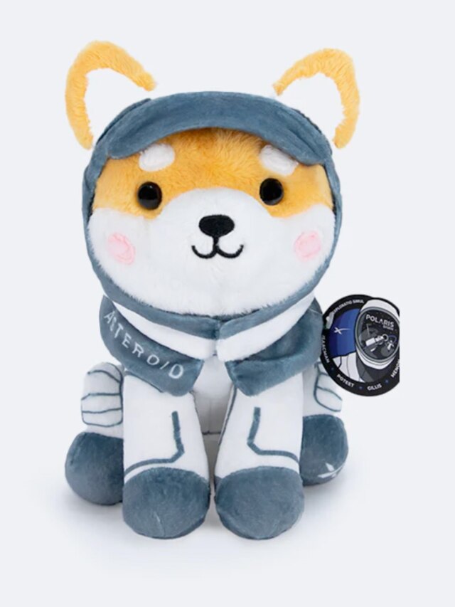 'Plush Toy': Inspired by Elon Musk’s pet dog, young girl designs Polaris Dawn Zero-G Indicator