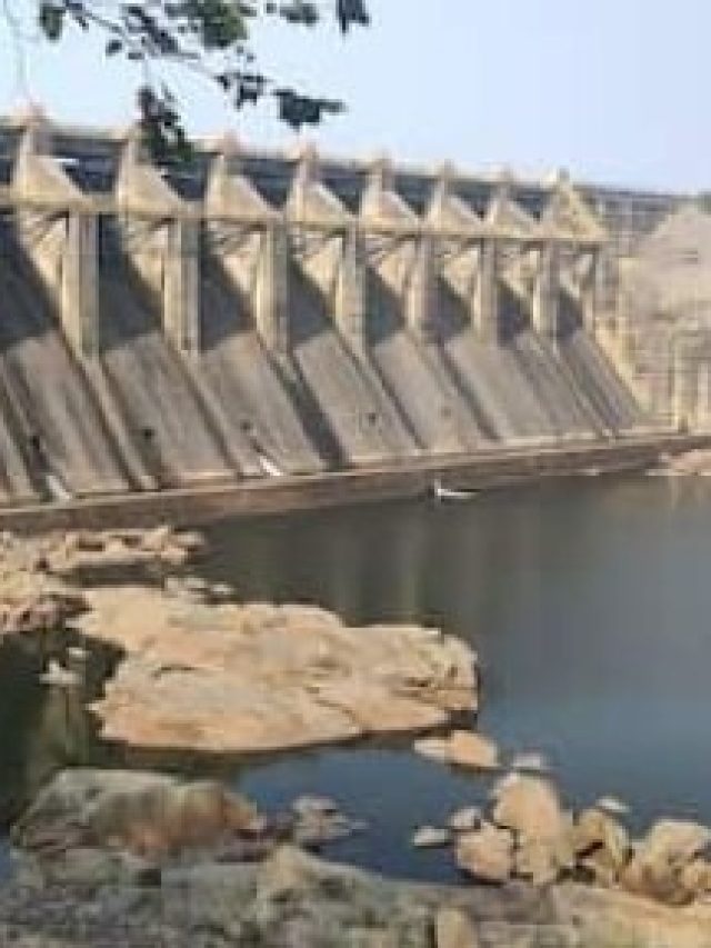 DVC কেন্দ্রীয় সরকার নাকি রাজ্য সরকারি সংস্থা, জানেন?