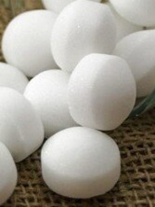 রোজ পকেটে ১  টুকরো কর্পূর,  যৌবন উপচে  পড়বে