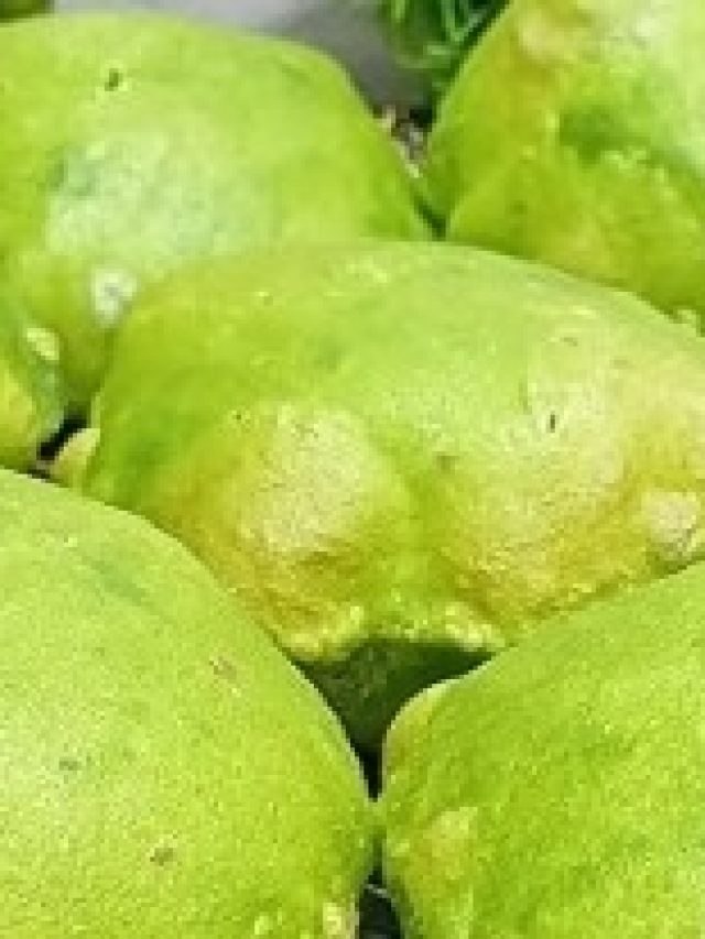 লুচি বানান এই শাক দিয়ে, দারুণ সুস্বাদু হবে খেতে, বদহজমও হবে না