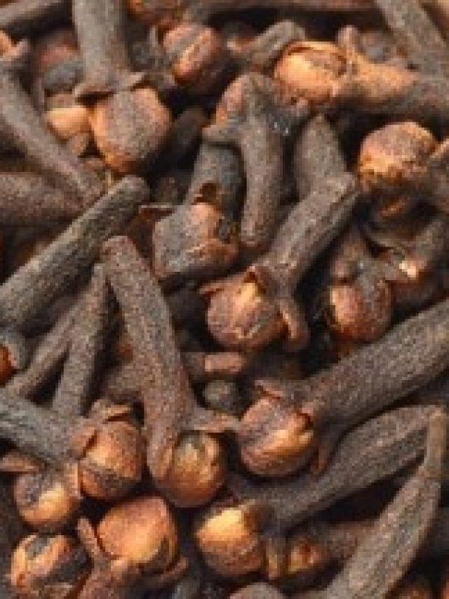 রোজ ১টা লবঙ্গ চিবোলে এসব উপকার হয়