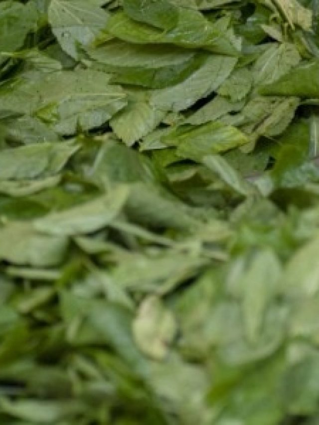 পুরুষত্ব ফুলে ফেঁপে উঠবে, খেতে হবে সস্তার এই শাক