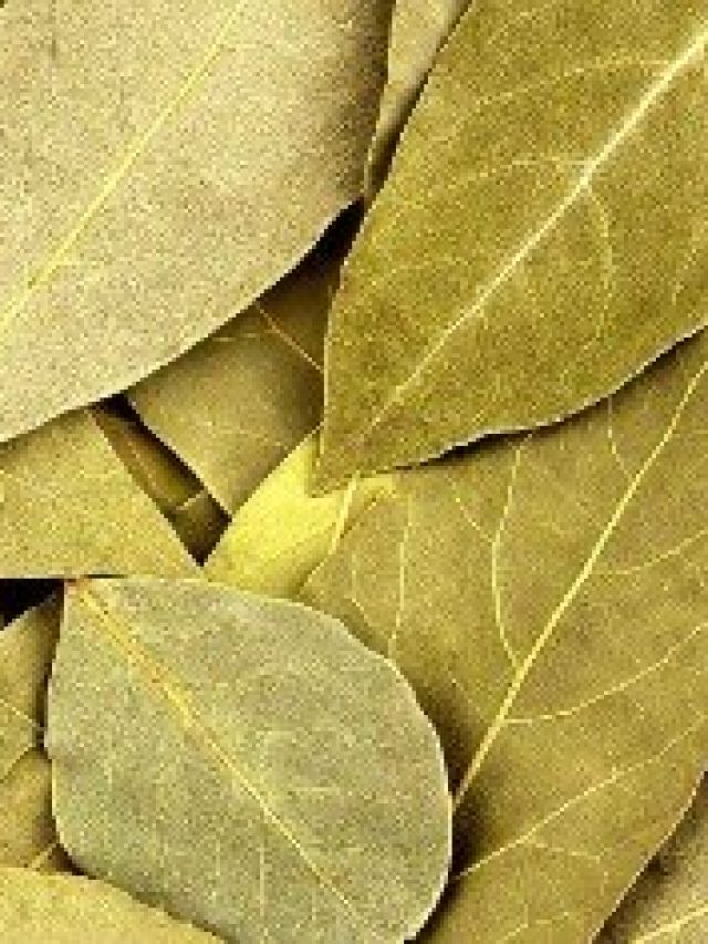 রোজ রাতে লাগবে শুধু তেজপাতা, খেলা শুরু হবে