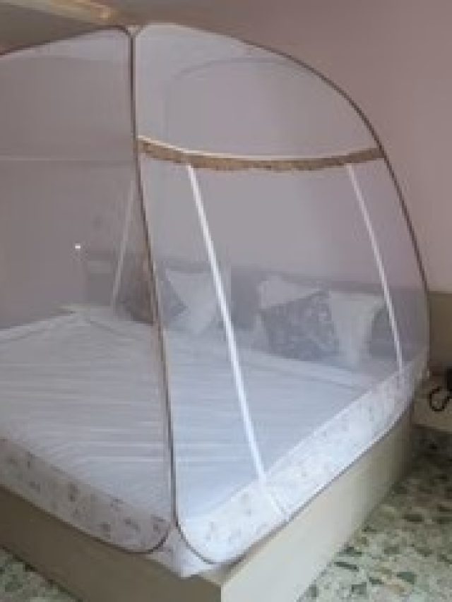 গোটা বাড়িকে বানিয়ে ফেলুন মশারি,  ধোঁকা খেয়ে পালাবে মশার দল