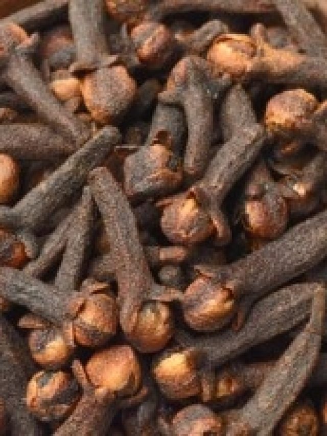 বুকপকেটে রেখে দিন ২টো লবঙ্গ, ব্যস, খেলা হবে