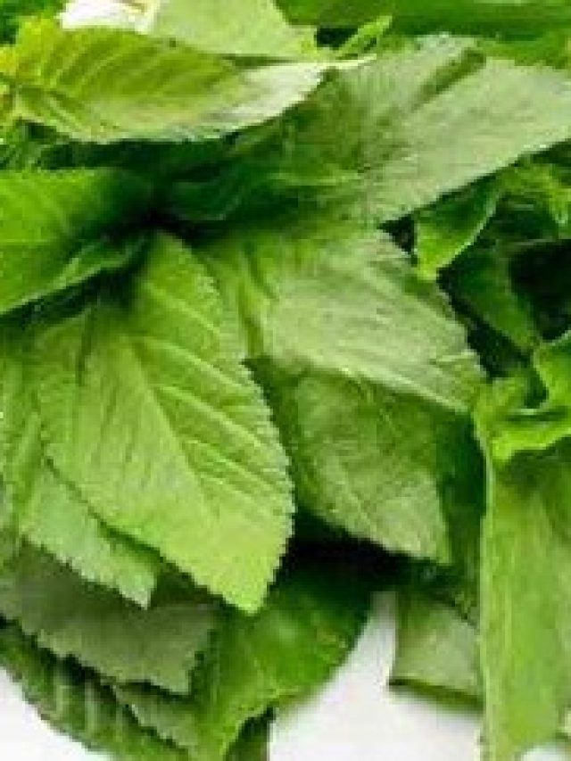 ৫০ বছর পরও তেজ বাড়াবে পুরুষত্ব,  পাতে রাখুন সস্তার এই শাক