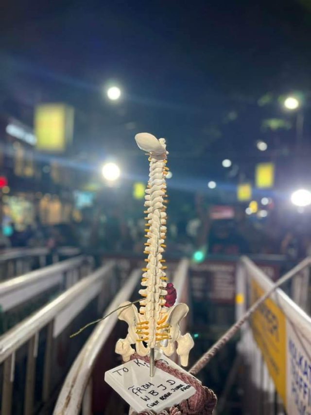 কীভাবে শিরদাঁড়া সোজা রাখবেন? বাঙালিদের টিপসগুলো মানুন