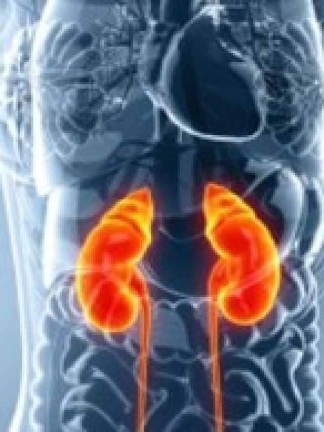 এই ৫ সবজি খেলেই কিডনি নষ্ট হবে, ডাক্তারবাবুর টিপস