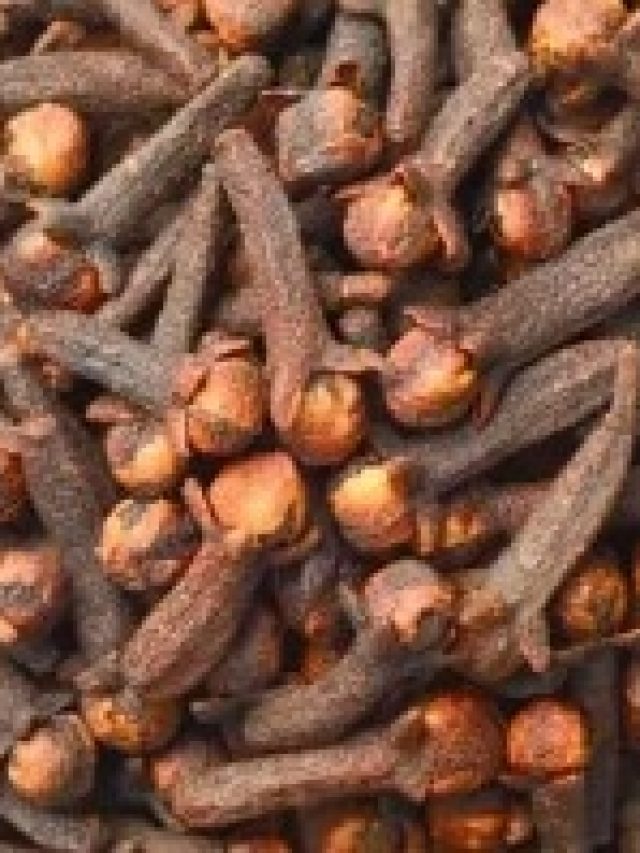 ৪টে লবঙ্গ লাগবে শুধু, তাতেই পাকা চুল কুচকুচে কলো হবে নিমেষে