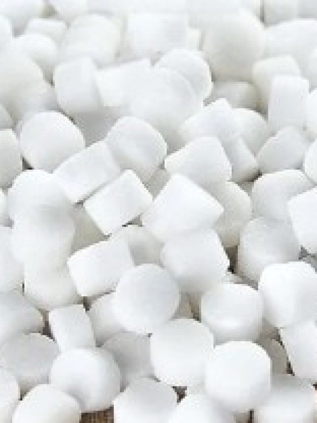 পকেটে রেখে দিন ১টা কর্পূর, ব্যস, শুরু খেলা