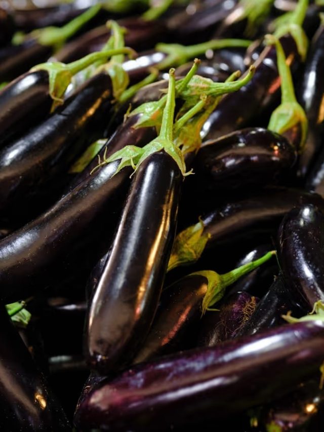 একটা বেগুনও কানা হবে না, ভাল সবজি চিনবেন কীভাবে? রইল টিপস