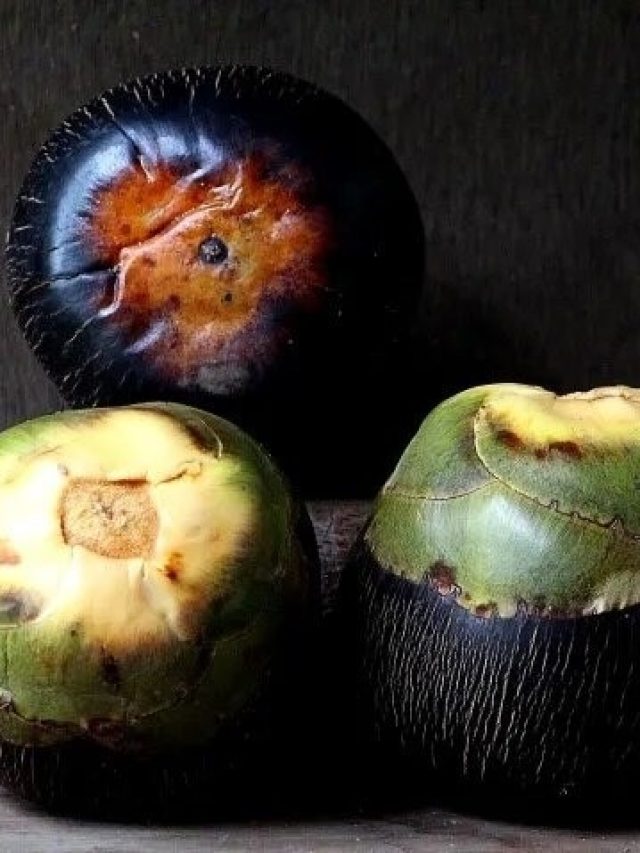 শেষবেলায় তাল কেনার আগে এটা মাথায় রাখুন, ঠকবেন কেন?