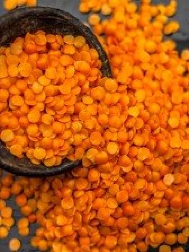 মুসুর ডাল আমিষ না নিরামিষ? পাকা  রাঁধুনিরাও জানেন না