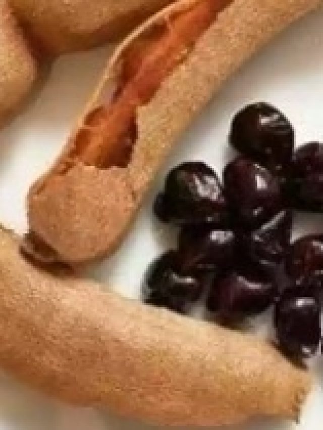 মুখে ফেলুন তেঁতুলের বীজ, বুড়ো হলেও চরম সুখ-মজা