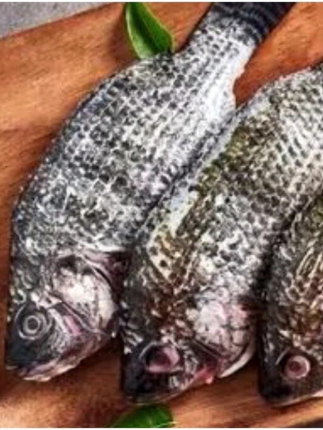বাঙালির প্রিয় এই মাছ আসলে বিষাক্ত, বাজারে যাওয়ার আগে জেনে নিন