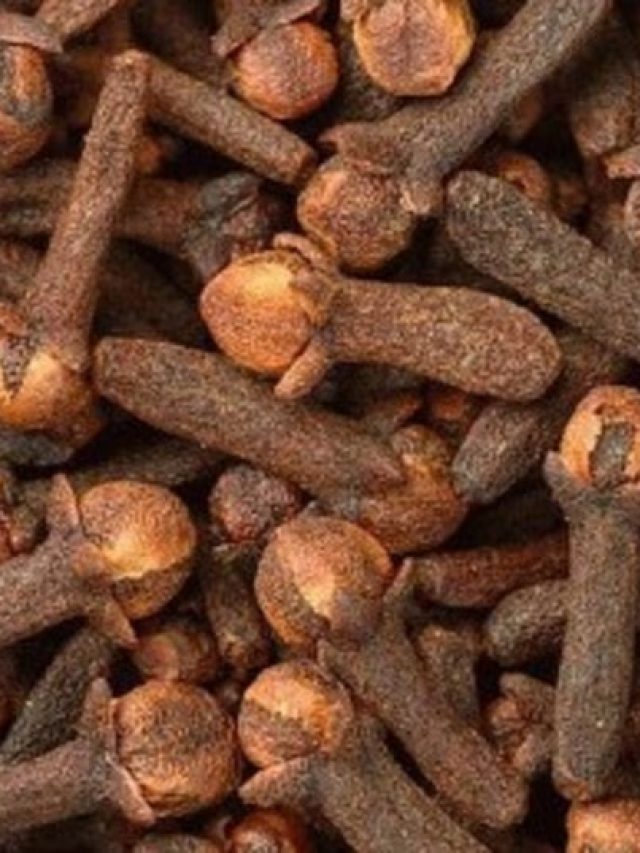 লবঙ্গকে ইংরেজিতে কী বলে? সঠিক উত্তরটি  অনেকেরই জানা নেই