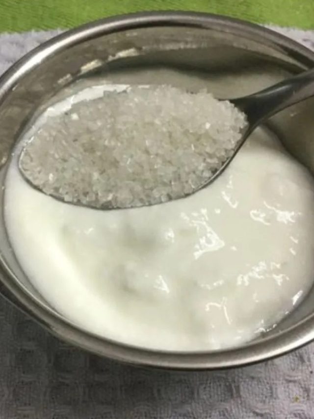 শুভকাজে যাওয়ার আগে দই-চিনি কেন খাওয়া হয়? বেশিরভাগ লোকই জানে না