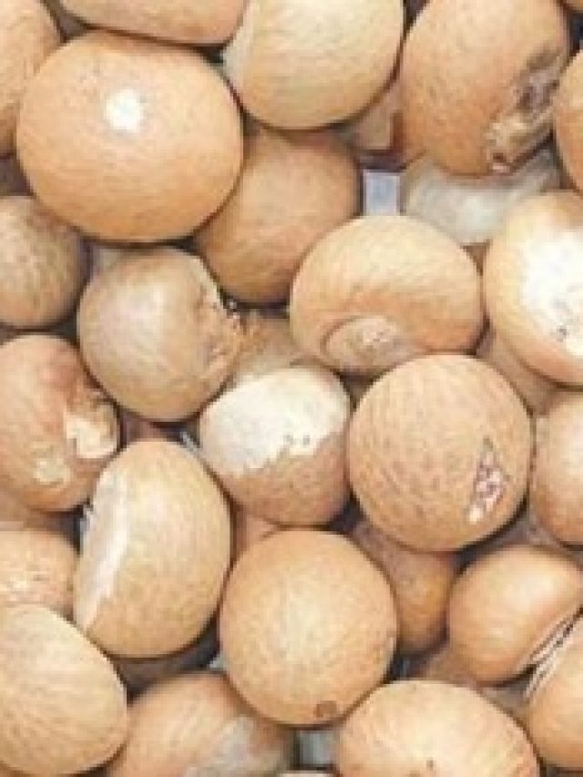 পকেটে ২টো সুপারি রেখে দিন, ব্যস,  শুরু খেলা