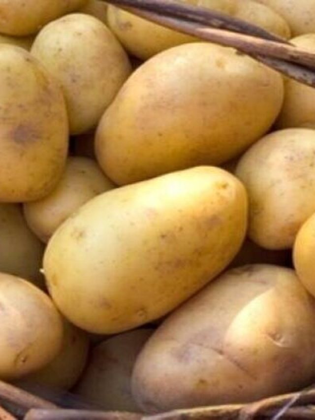 আলু দিয়ে করুন ছোট্ট কাজ, সুখ সৌভাগ্য আসতেই থাকবে