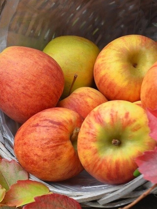 চরম তৃপ্তি, পুরুষত্ব একেবারে শিখরে পৌঁছে দেয় এই ফলের খোসা