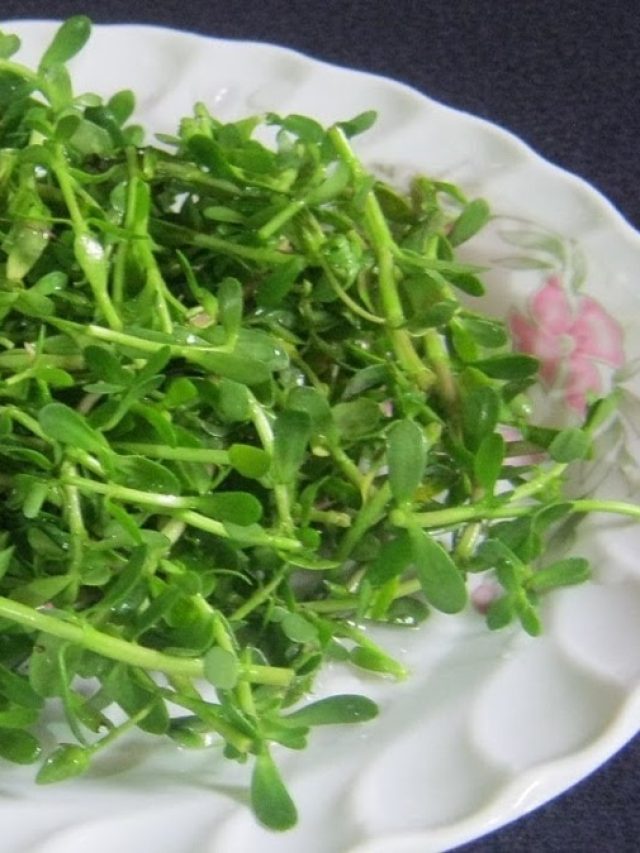 স্মৃতিশক্তি একেবারে চাঙ্গা হবে এই শাকে! মেমরি বুস্টার এই শাক চেনেন?