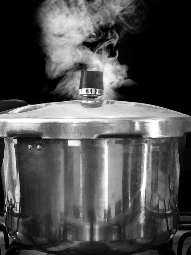 কুকারে ৪ খাবার রান্না করলেই বিষ, সময় বাঁচাতে স্বাস্থ্য বরবাদ হবে