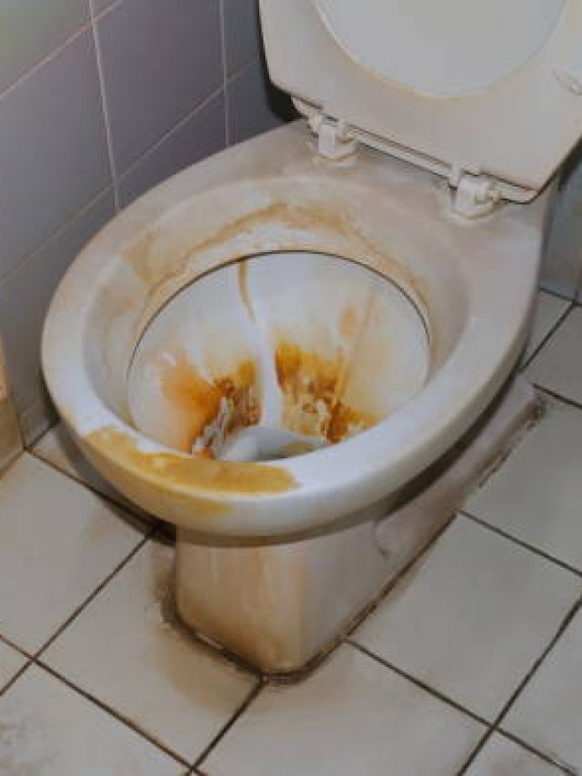 এমা! কমোডে কী বিচ্ছিরি হলুদ ছাপ, কিচেনের দুই মশলায় এক রাতে সাফ হবে