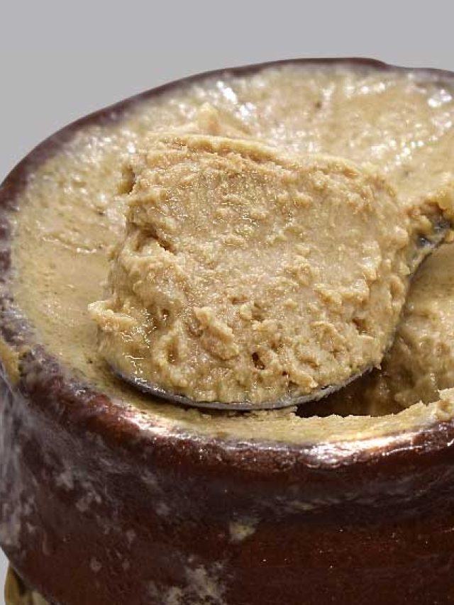 কোথায় টাটকা মিষ্টি দই পাওয়া যায়? রইল সেরা দোকানের হদিশ