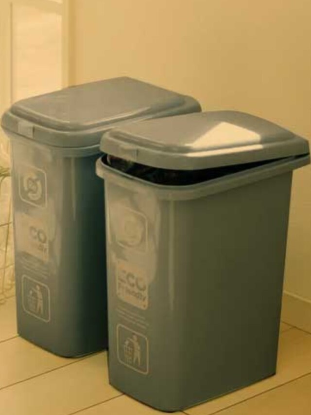 বাড়ির এই দিকে ডাস্টবিন রাখলেই কাঙাল হবেন, লক্ষ্মী পালাবে