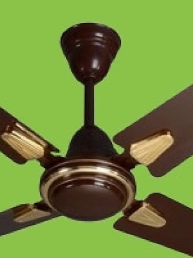 মই লাগবে না, ময়লা-কালো পাখা পরিষ্কার করুন এভাবে