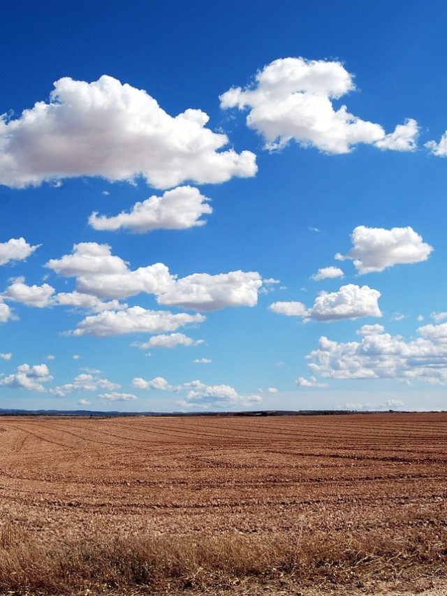 আকাশের রঙ নীল কেন? ক্লাস ফাইভের প্রশ্নের উত্তরটা জানেন?