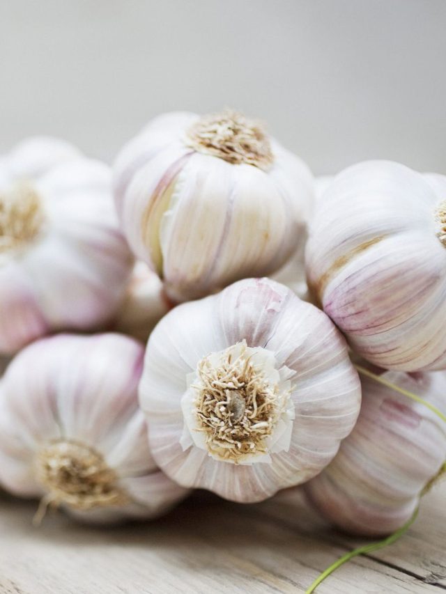 ঘড়ি ধরে ১ মিনিটে ১ কেজি রসুনের খোসা ছাড়ান, সহজ ট্রিকসটা জানুন