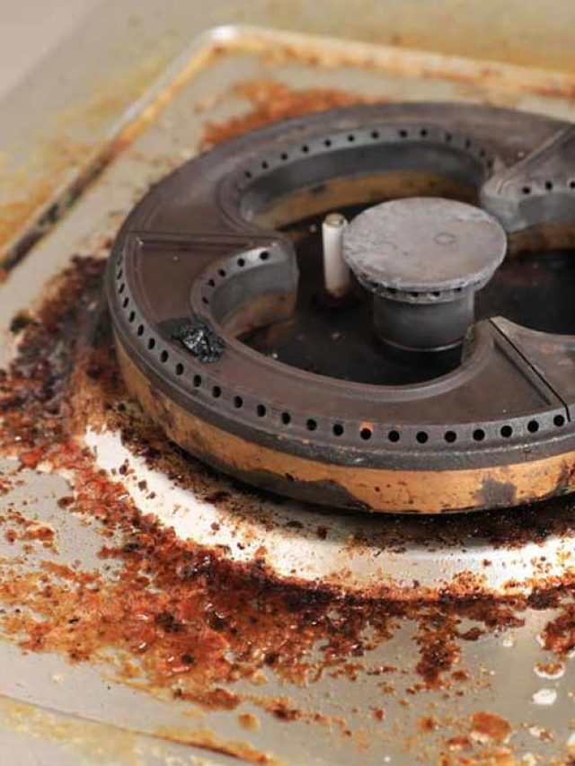 ৫ মিনিটেই ভ্যানিস হবে গ্যাস বার্নারের ময়লা, রান্নার গ্যাসও চলবে বেশিদিন, উপায়