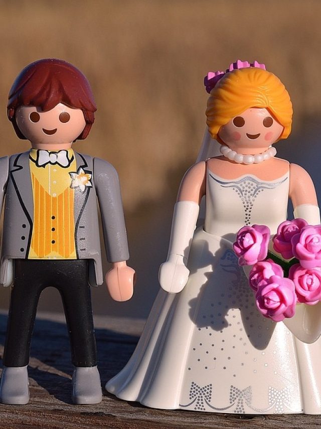 স্ত্রী-কে বলবেন না এই সব কথা, তবেই উন্নতি হবে