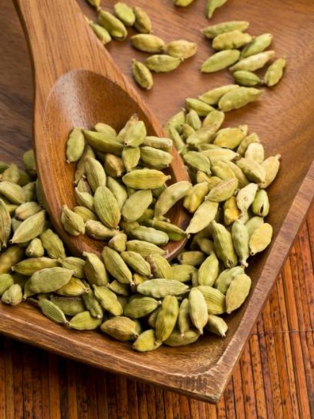 কিনতে হবে না, বাড়ির ছাদেই হবে কিলো কিলো এলাচ, শিখে নিন