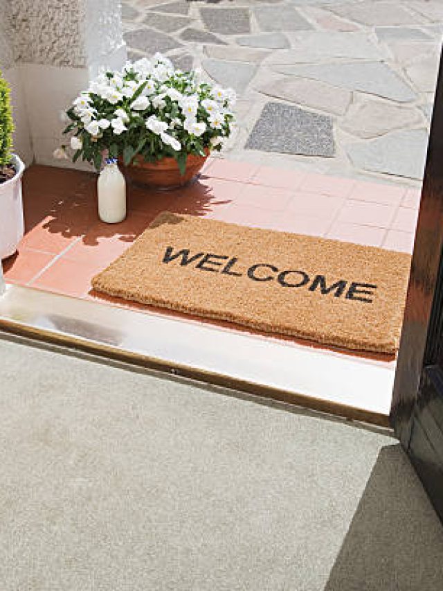 পাপোসের নীচে এই জিনিসটা রাখলেই টাকা! কোটিপতিদের সিক্রেট