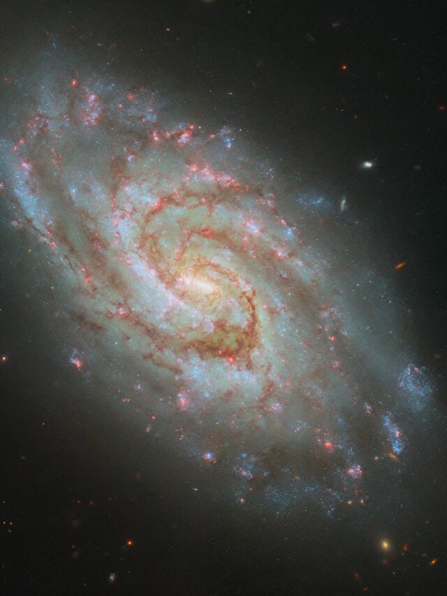 '45 million light-years away': NASA's Hubble Telescope captures small spiral galaxy that was discovered 126 years ago