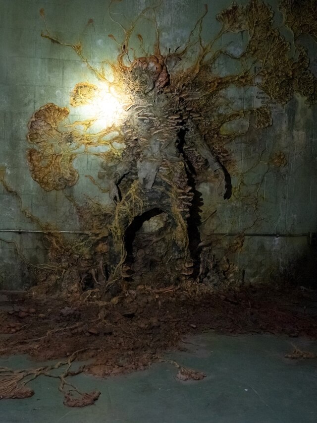 Can this zombie fungus from 'Last of Us' TV series end human civilisation?