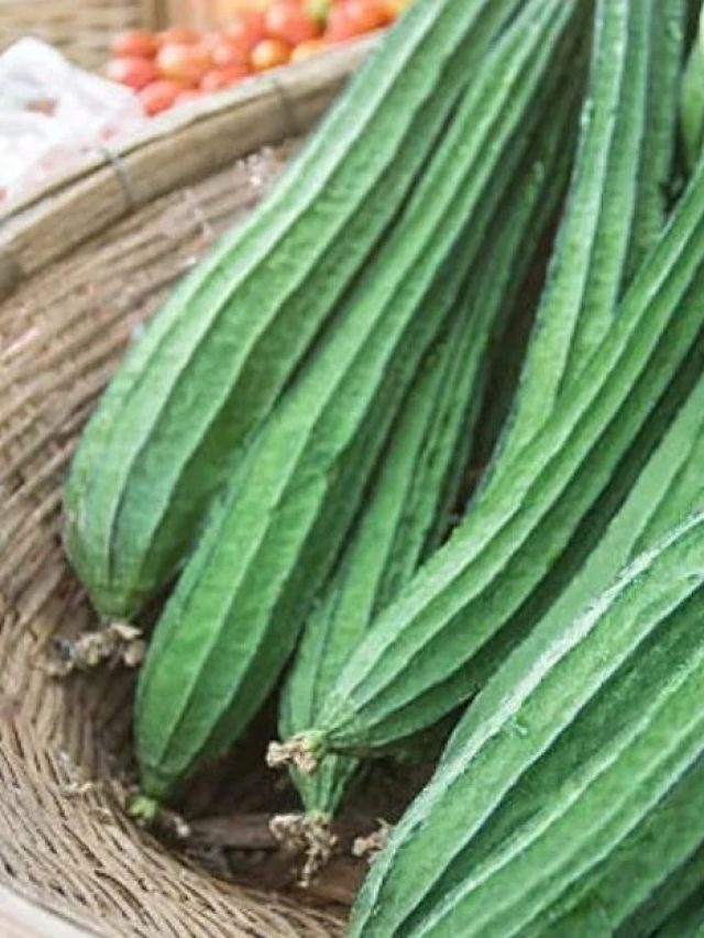 ঝিঙের ইংরাজি কী জানা আছে? শিক্ষিতরাও জানেন না