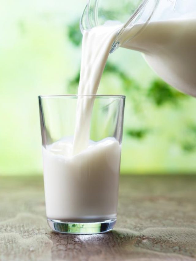 কার দুধ সবথেকে বেশি দামি? ৯৯ শতাংশ লোকই জানেন না